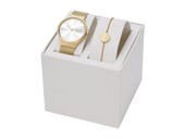 Подарочный набор: часы наручные мужские, браслет. Skagen