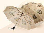 Зонт складной Бомонд